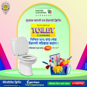 Toilet Cleaning social media post design by Piktome